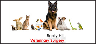 ROOTY HILL VETERINARY SURGERY