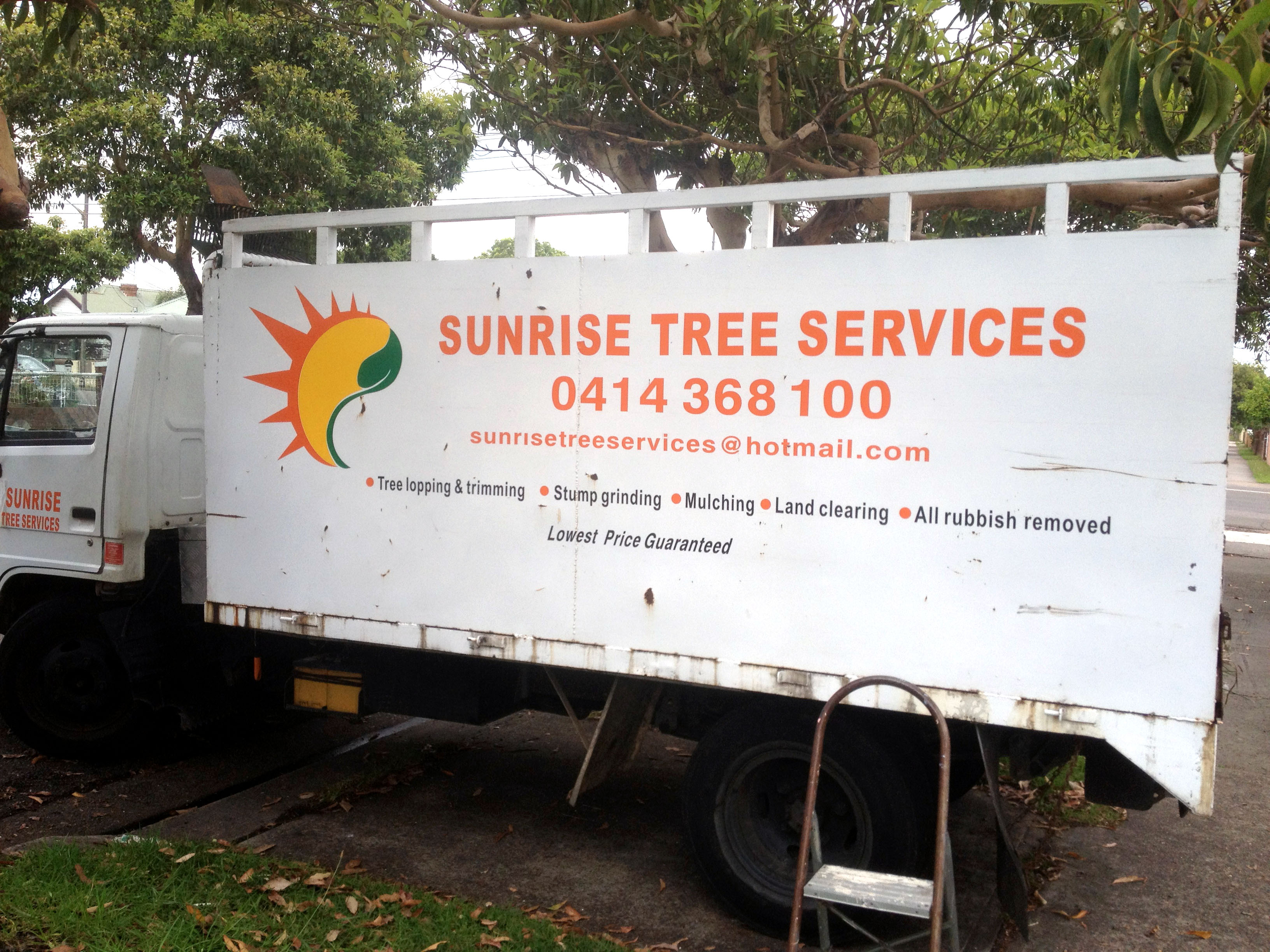 SUNRISE TREE LOPPING