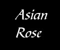 Asian Rose