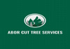 Abor Cut Tree Services