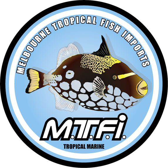 Melbourne Tropical Fish Imports