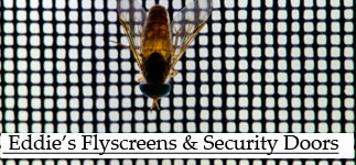 EDIES FLYSCREENS & SECURITY DOORS