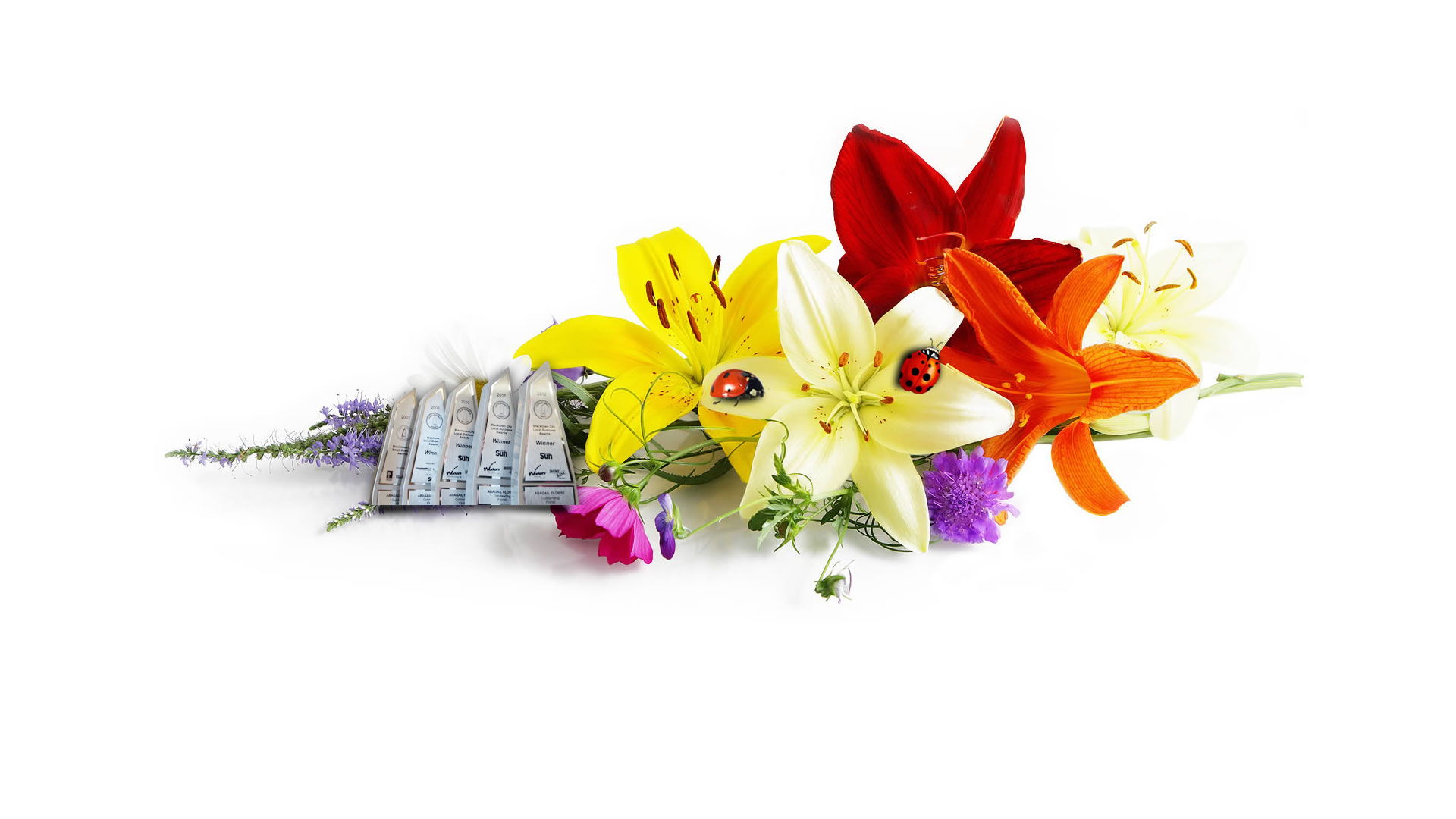 Abagail Florist Blacktown