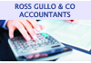 ROSS GULLO & CO ACCOUNTANTS