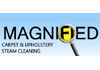 MAGNIFIED CARPET UPHOLSTERY STEAM CLEANING